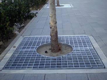 The root of tree is covered by the press-locked grating.