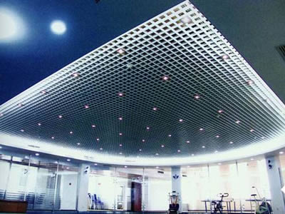 Transparent FRP molded grating is installed on the ceiling with several lamps shining.